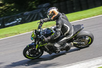 Lower Group Black Bikes
